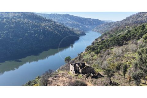 Farm i Ancede e Ribadouro, Porto, Ancede e Ribadouro - € 380.000 | Ref: 7029 - foto 4