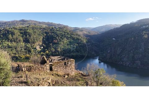Farm i Ancede e Ribadouro, Porto, Ancede e Ribadouro - € 380.000 | Ref: 7029 - foto 8