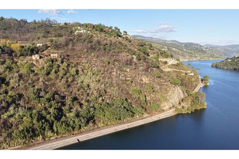 Farm i Ancede e Ribadouro, Porto, Ancede e Ribadouro - € 380.000 | Ref: 7029 - foto 9