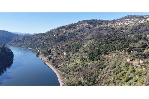 Farm i Ancede e Ribadouro, Porto, Ancede e Ribadouro - € 380.000 | Ref: 7029 - foto 10