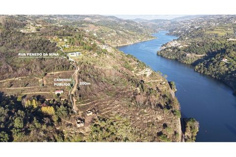 Farm i Ancede e Ribadouro, Porto, Ancede e Ribadouro - € 380.000 | Ref: 7029 - foto 11