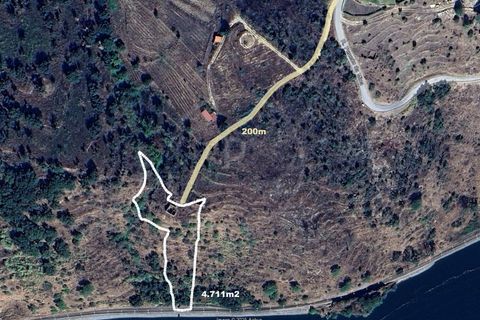 Farm i Ancede e Ribadouro, Porto, Ancede e Ribadouro - € 380.000 | Ref: 7029 - foto 18
