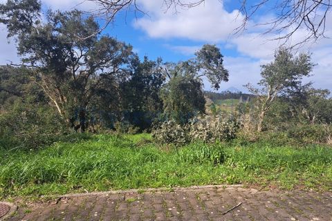 Helårsgrund i Leiria, Leiria, Leiria - € 60.000 | Ref: 6136 - foto 2