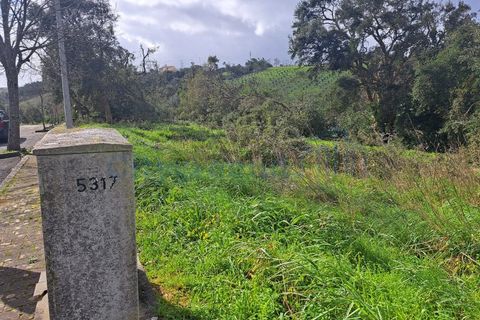 Helårsgrund i Leiria, Leiria, Leiria - € 60.000 | Ref: 6136 - foto 4