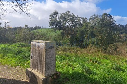 Helårsgrund i Leiria, Leiria, Leiria - € 60.000 | Ref: 6136 - foto 5