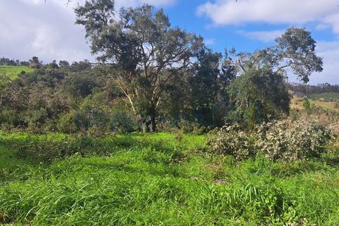 Helårsgrund i Leiria, Leiria, Leiria - € 60.000 | Ref: 6136 - foto 6