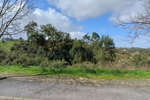 Helårsgrund i Leiria, Leiria, Leiria - € 60.000 | Ref: 6136 - foto 8