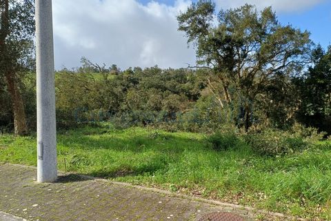 Helårsgrund i Leiria, Leiria, Leiria - € 60.000 | Ref: 6136 - foto 9