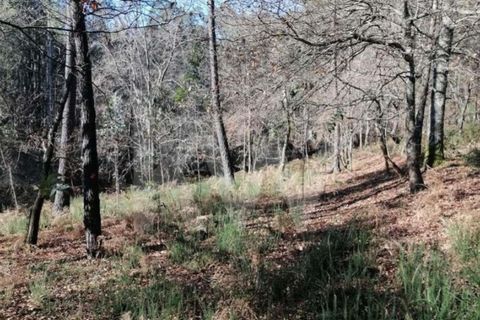Helårsgrund i Vila Verde, Braga, Vila Verde - € 35.000 | Ref: 1214-4430 - foto 1