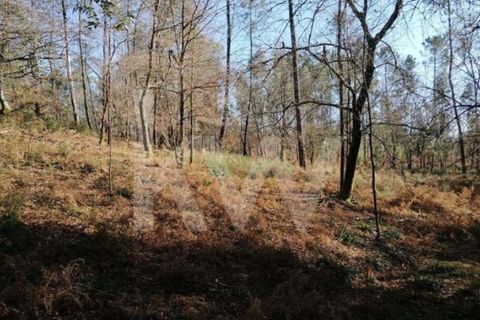 Helårsgrund i Vila Verde, Braga, Vila Verde - € 35.000 | Ref: 1214-4430 - foto 2