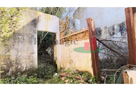 Villa a Assentiz, Santarem, Assentiz - € 95.000 | Ref: 50.26 - foto 21