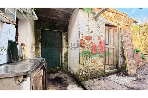 Villa a Assentiz, Santarem, Assentiz - € 95.000 | Ref: 50.26 - foto 22