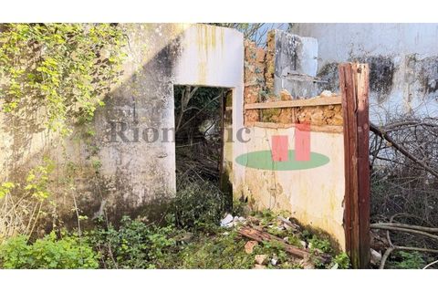 Villa a Assentiz, Santarem, Assentiz - € 95.000 | Ref: 50.26 - foto 23