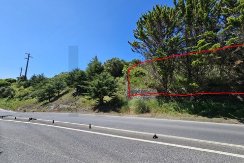 Helårsgrund i Belas, Lisbon, Belas - € 255.000 | Ref: KWPT-013516 - foto 4