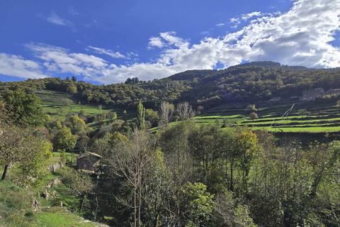 Villa i Marcols-les-Eaux, Ardeche, Marcols-les-Eaux - € 135.000 | Ref: 340938696744 - foto 34