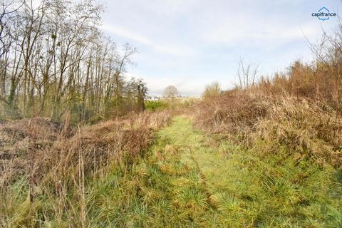 Villa a Seigy, Loir-et-Cher, Seigy - € 342.000 | Ref: 340936162616 - foto 25