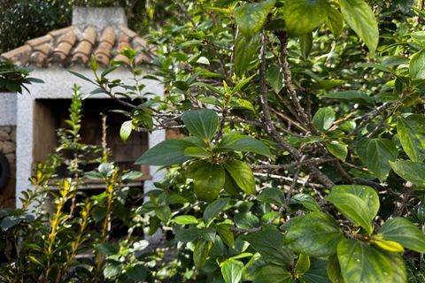 Villa i Altea, Alicante, Altea - € 520.000 | Ref: 1535 - foto 36