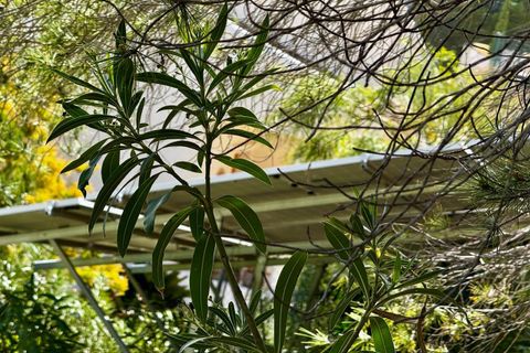 Villa i Altea, Alicante, Altea - € 520.000 | Ref: 1535 - foto 39