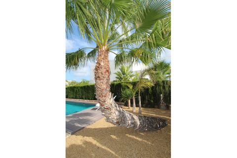 Villa i Rojales, Alicante, Rojales - € 750.000 | Ref: CLDZSL-67552 - foto 8