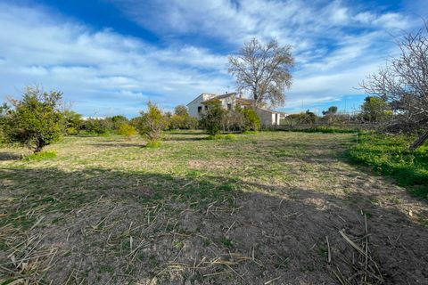 Villa a Benejuzar, Alicante, Benejuzar - € 238.000 | Ref: CLDZSL-21059 - foto 26