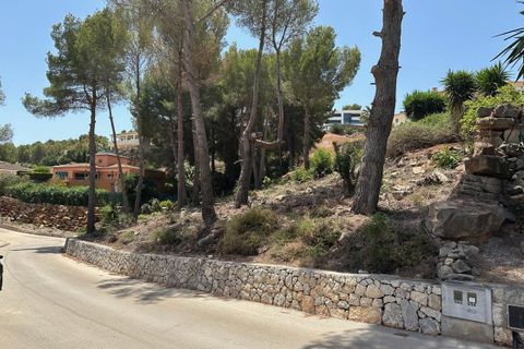 Terra a Denia, Alicante, Denia - € 320.000 | Ref: xd723760 - foto 3