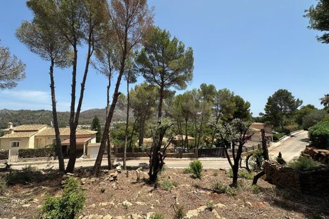 Terra a Denia, Alicante, Denia - € 320.000 | Ref: xd723760 - foto 4