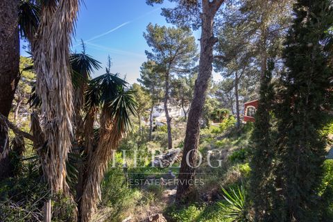 Helårsgrund i Peguera, Mallorca, Peguera - € 650.000 | Ref: 1230 - foto 4