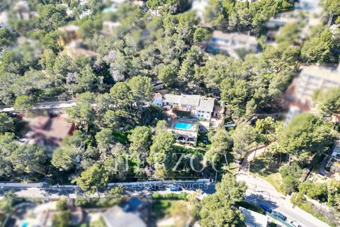 Helårsgrund i Peguera, Mallorca, Peguera - € 650.000 | Ref: 1230 - foto 6