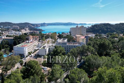 Helårsgrund i Peguera, Mallorca, Peguera - € 650.000 | Ref: 1230 - foto 8
