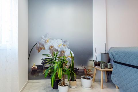 Rækkehus i Torrevieja, Alicante, Torrevieja - € 190.000 | Ref: AG18/4147 - foto 8