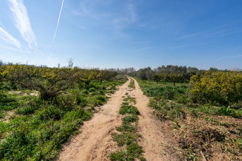 Finca i Tortosa, Tarragona, Tortosa - € 34.000 | Ref: 330 - foto 12