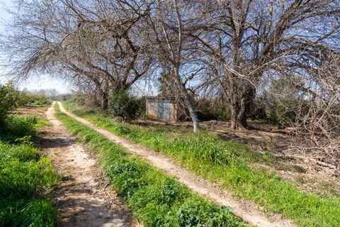 Finca i Tortosa, Tarragona, Tortosa - € 34.000 | Ref: 330 - foto 5