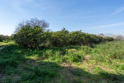 Finca i Tortosa, Tarragona, Tortosa - € 34.000 | Ref: 330 - foto 15