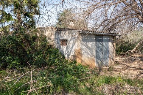 Finca i Tortosa, Tarragona, Tortosa - € 34.000 | Ref: 330 - foto 4