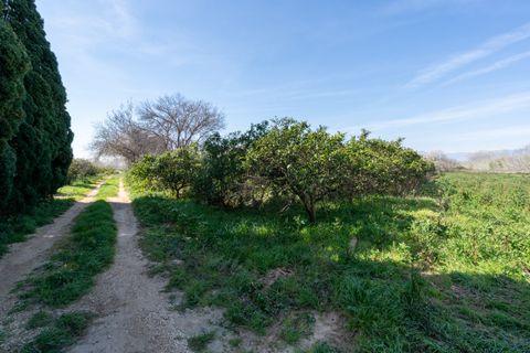 Finca i Tortosa, Tarragona, Tortosa - € 34.000 | Ref: 330 - foto 13