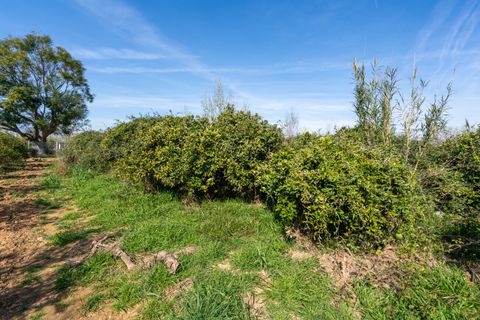 Finca i Tortosa, Tarragona, Tortosa - € 34.000 | Ref: 330 - foto 10
