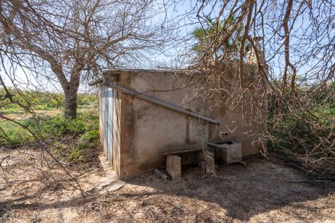 Finca i Tortosa, Tarragona, Tortosa - € 34.000 | Ref: 330 - foto 2