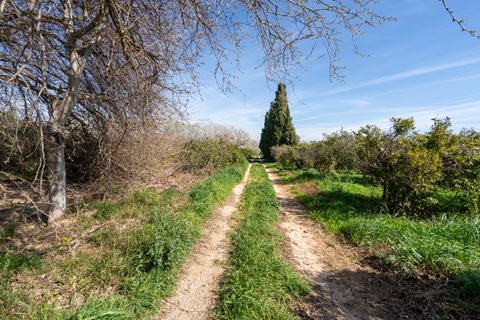 Finca i Tortosa, Tarragona, Tortosa - € 34.000 | Ref: 330 - foto 9