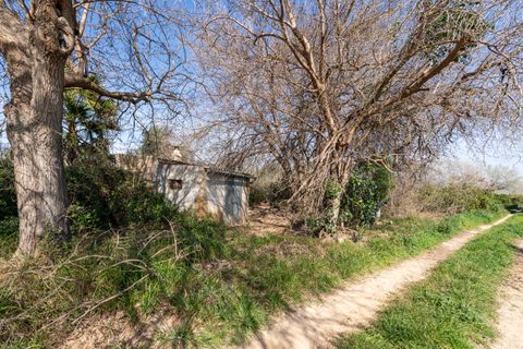 Finca i Tortosa, Tarragona, Tortosa - € 34.000 | Ref: 330 - foto 6