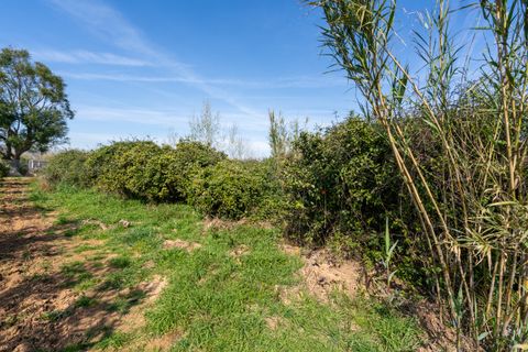 Finca i Tortosa, Tarragona, Tortosa - € 34.000 | Ref: 330 - foto 14