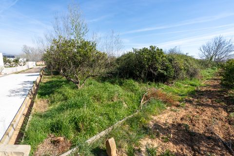 Finca i Tortosa, Tarragona, Tortosa - € 34.000 | Ref: 330 - foto 8