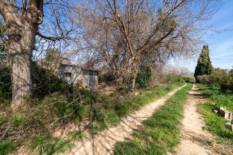 Finca i Tortosa, Tarragona, Tortosa - € 34.000 | Ref: 330 - foto 7