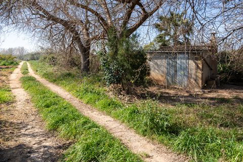Finca i Tortosa, Tarragona, Tortosa - € 34.000 | Ref: 330 - foto 3