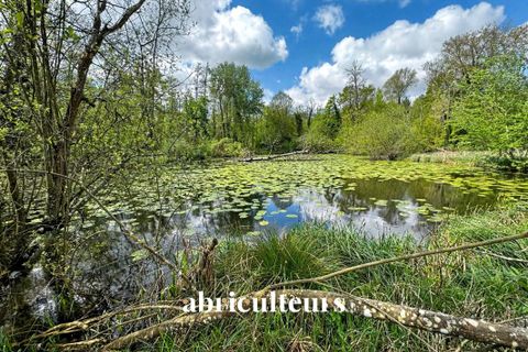 Villa i Morigny-Champigny, Essonne, Morigny-Champigny - € 2.875.000 | Ref: IFVC2402100091150 - foto 22