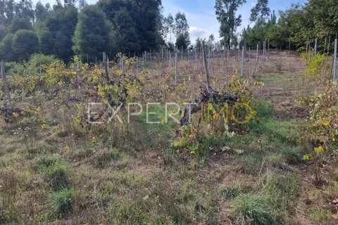Villa a Santa Comba Dao, Viseu, Santa Comba Dao - € 93.000 | Ref: EX-MOR_2662_AOLV - foto 21