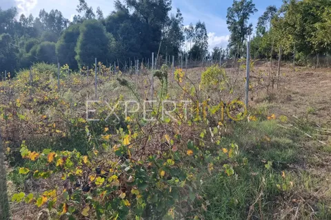 Villa a Santa Comba Dao, Viseu, Santa Comba Dao - € 93.000 | Ref: EX-MOR_2662_AOLV - foto 23