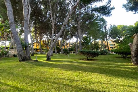 Leilighet i Nova Santa Ponsa, Mallorca, Nova Santa Ponsa - € 550 000 | Ref: EE2170 - foto 4