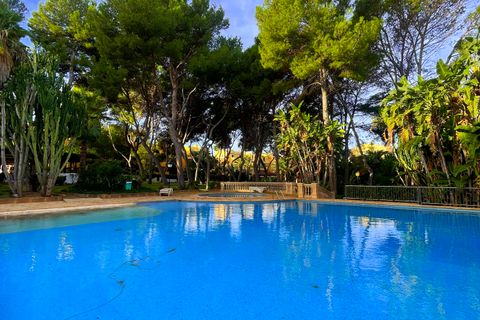 Leilighet i Nova Santa Ponsa, Mallorca, Nova Santa Ponsa - € 550 000 | Ref: EE2170 - foto 24