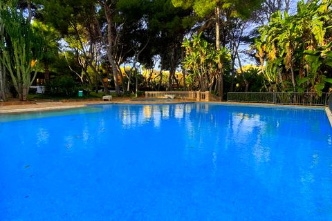 Leilighet i Nova Santa Ponsa, Mallorca, Nova Santa Ponsa - € 550 000 | Ref: EE2170 - foto 5
