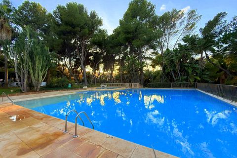 Leilighet i Nova Santa Ponsa, Mallorca, Nova Santa Ponsa - € 550 000 | Ref: EE2170 - foto 2